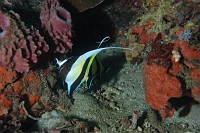 DSC_6000 (57)0041 